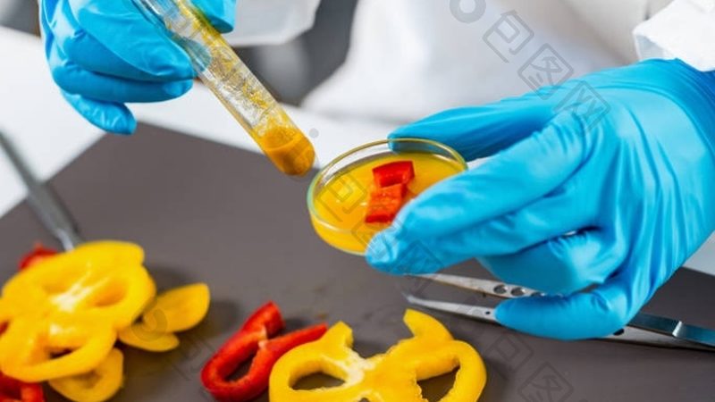 宿舍零食饼干测评对比：如何挑选健康美味的选择